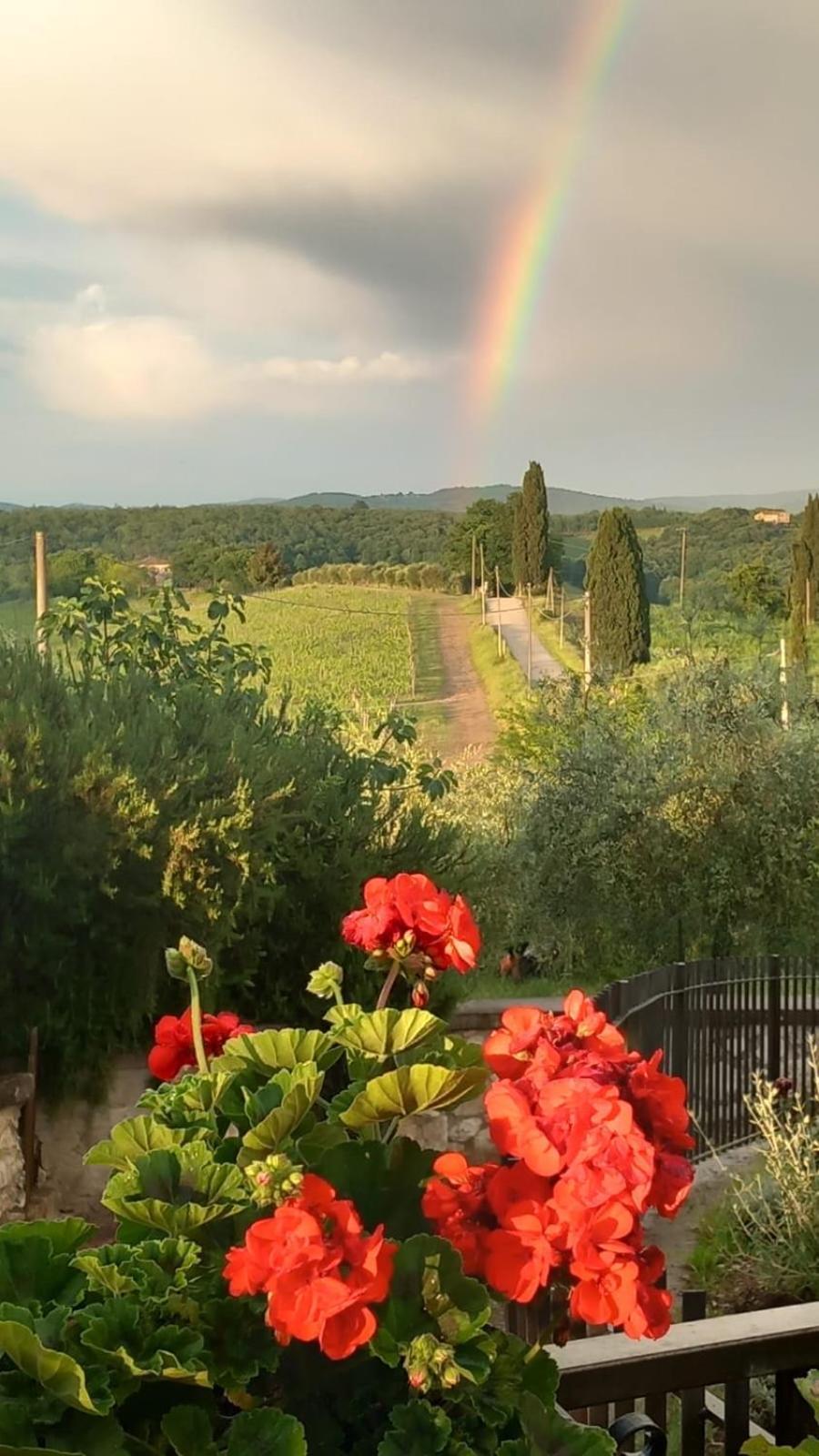 Casa Il Cipresso